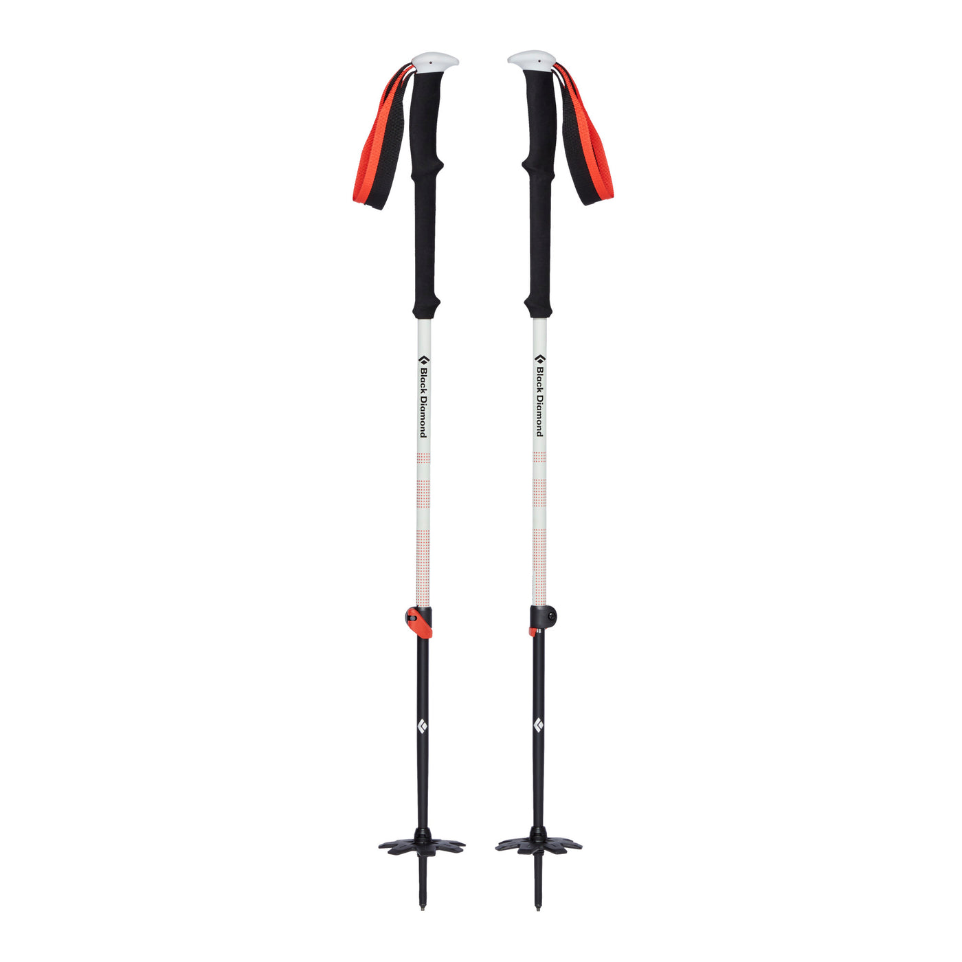 Expedition 2 Ski Poles