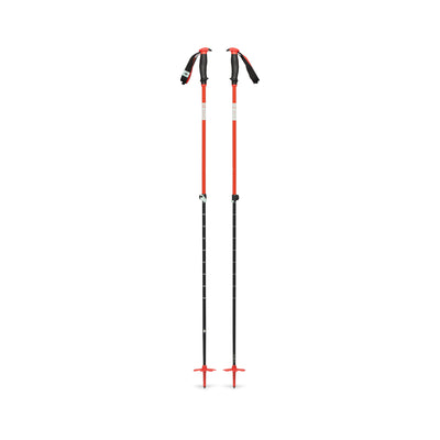 Traverse Ski Poles