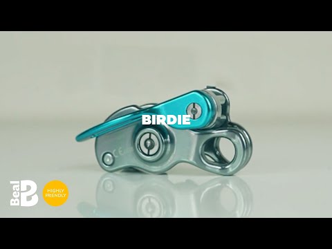 Birdie