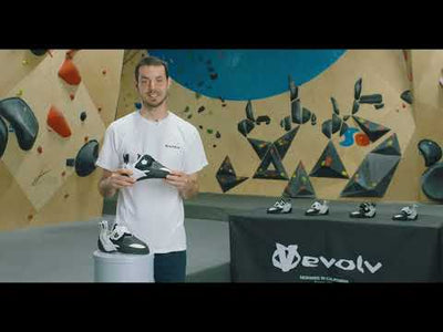 V6