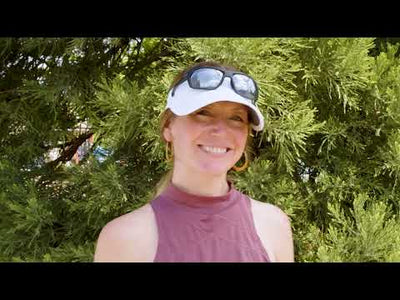 Aero Visor