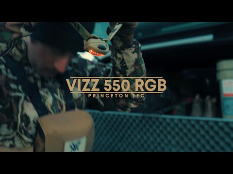 Vizz 550 - RGB MPLS